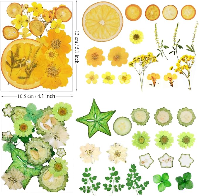 75Pcs Pressed Dried Flowers Fruits - Image 6