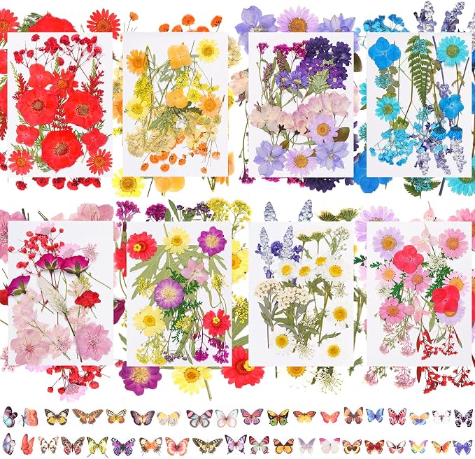228Pcs Pressed Dried Flowers by Unknown