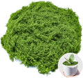 Fake Green Moss for Crafts 5.3 Oz Decorative Artificial Moss for Crafts by AIFONG