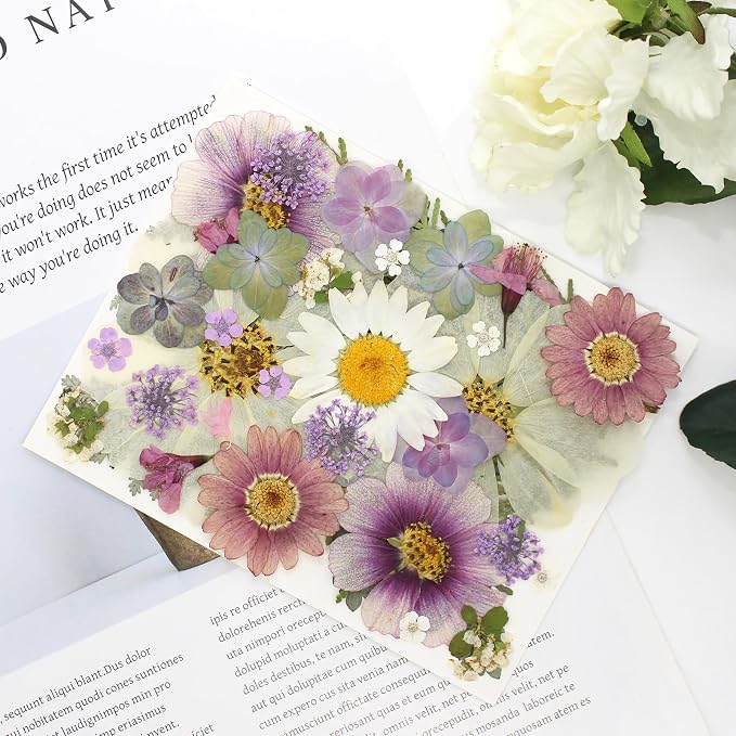 40PCS Real Nature Dried Pressed Flowers - Image 5