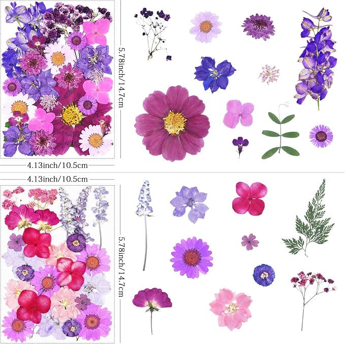 110Pcs Purple Dried Pressed Flowers - Image 2