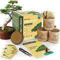 Planter's Choice Bonsai Tree Kit by Planters%27+Choice