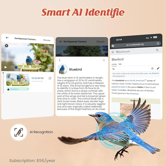 Smart Bird Feeder with Camera Outdoor: 2K Wild Bird Watching Video Cam - Image 7