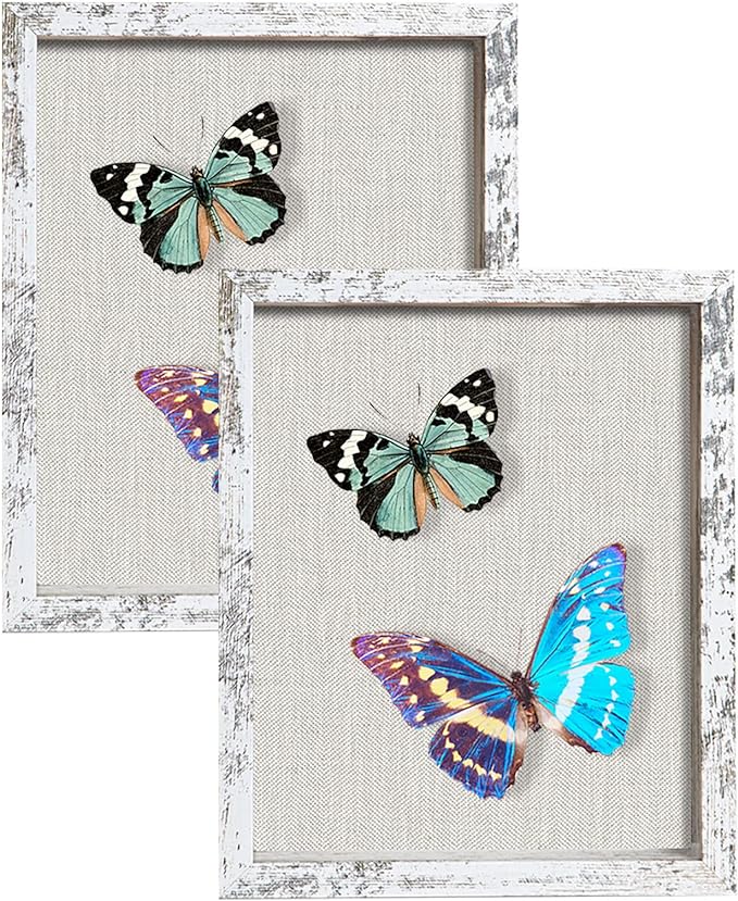 2 Packs 8x10 Shadow Box Frame by Califortree