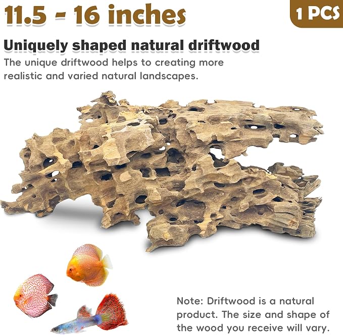 PINVNBY Natural Large Driftwood - Image 2
