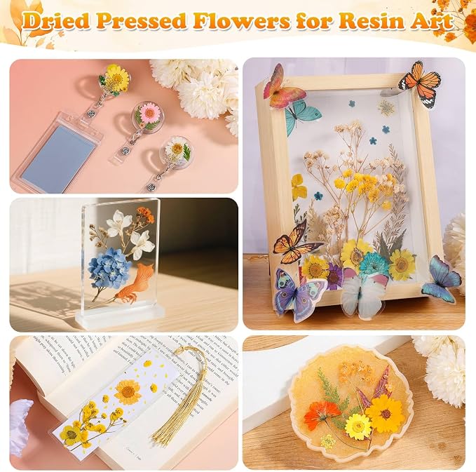 361 Pcs Pressed Dried Flowers - Image 5
