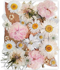 13 Types 37pcs White Dried Pressed Flowers by YouthBro