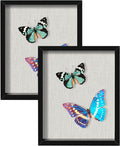 2 Packs 8x10 Shadow Box Frame by Califortree