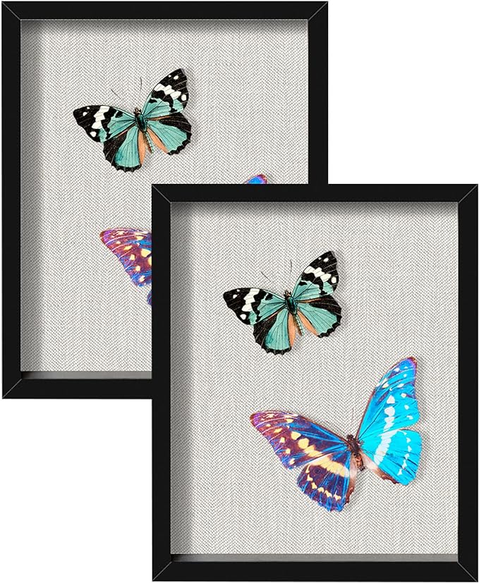 2 Packs 8x10 Shadow Box Frame by Califortree