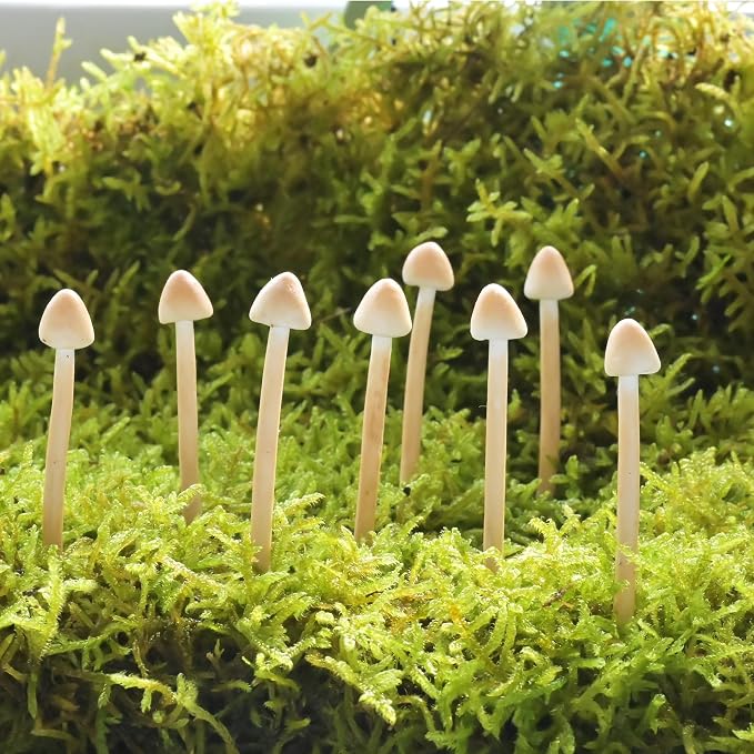 8-Pack Handmade Clay Mushrooms by Mumutie