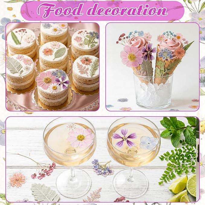 96 Pcs Natural Dried Pressed Flowers - Image 6