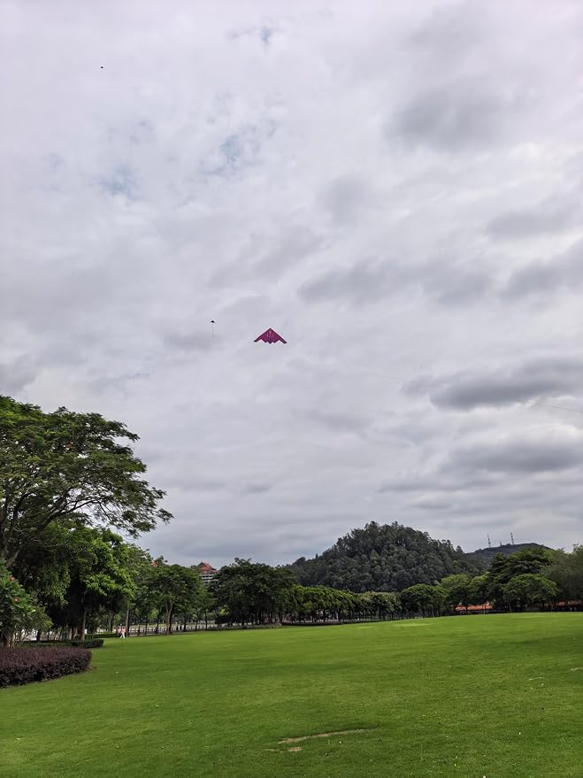 B2 Model Airplane Kite, Large Easy to Fly Kites Adults, 300FT String Reel - Image 7