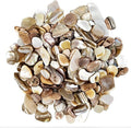 Natural Crushed Shells Chips Irregular Mother of Pearl Seashell Fragments Sea by EDSRDUS