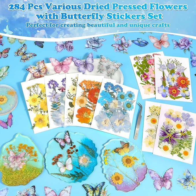 284 Pcs Dried Pressed Flowers - Image 2