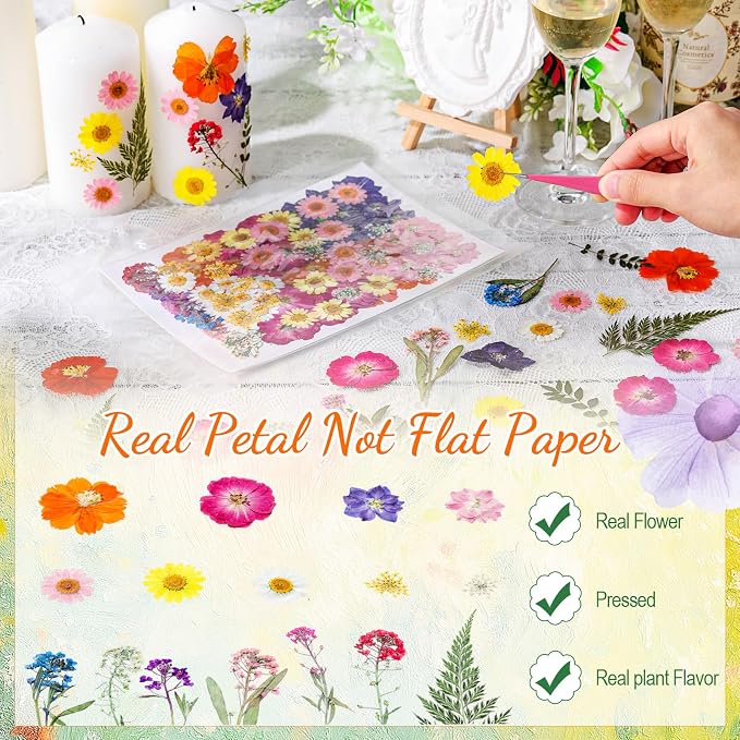 96 Pcs Natural Dried Pressed Flowers - Image 3
