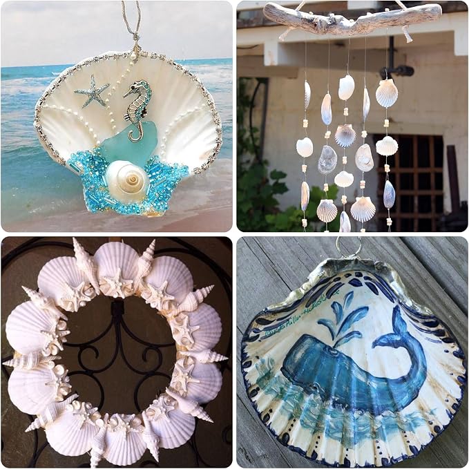 10PCS Large Natural Scallop Shells, DIY Painting, Baking and Beach Wedding - Image 5