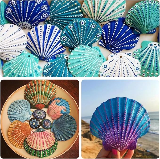 10Pcs 4-5“ Sea Shells Natural Scallop - Image 5