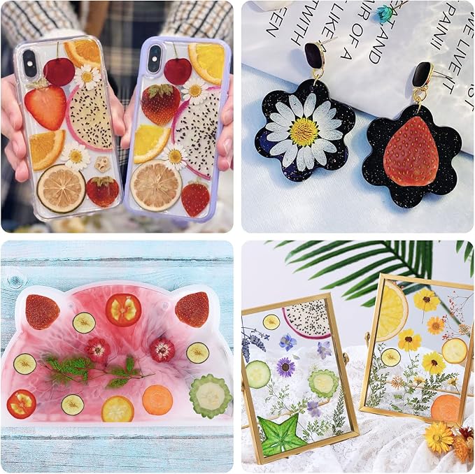 75Pcs Pressed Dried Flowers Fruits - Image 4