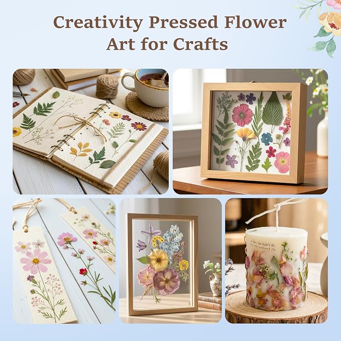 Aboofx Extra Large Flower Press Kit - Image 7