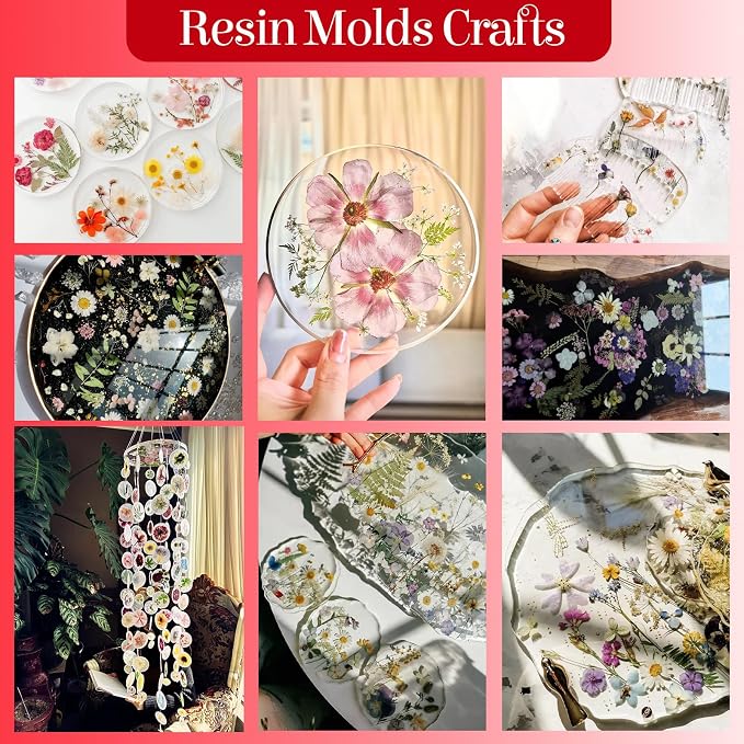 85Pcs Pressed Flowers for Crafts, Real Dried Flowers for Crafts Dried Pressed - Image 4