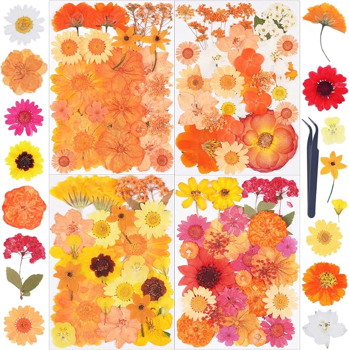 110Pcs Fall Dried Pressed Flowers by Unknown