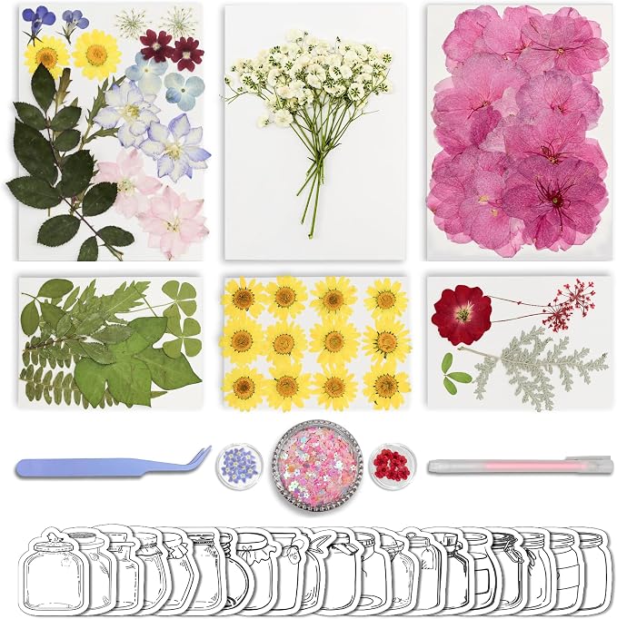 95PCS Dried Pressed Flowers for Crafts by Unknown
