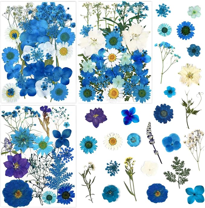 85 Pcs Blue Pressed Dried Flowers by LUCISKY