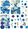 85 Pcs Blue Pressed Dried Flowers by LUCISKY