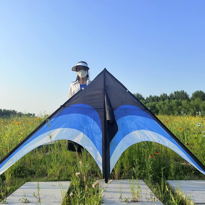 Large Single Line Beach Kite for Adults - Image 4