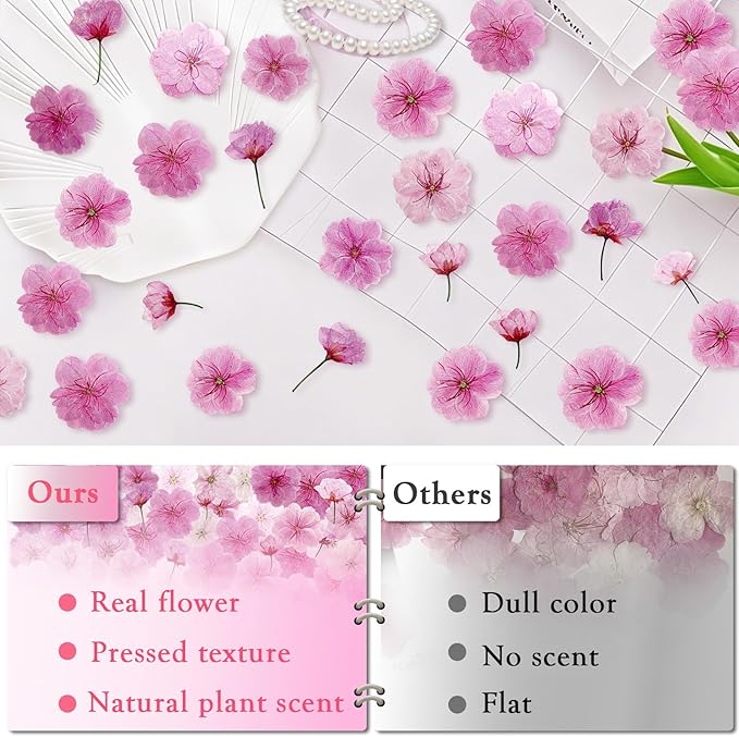 80Pcs Natural Dried Pressed Cherry Blossoms, Edible Flowers Sakura Mix - Image 3