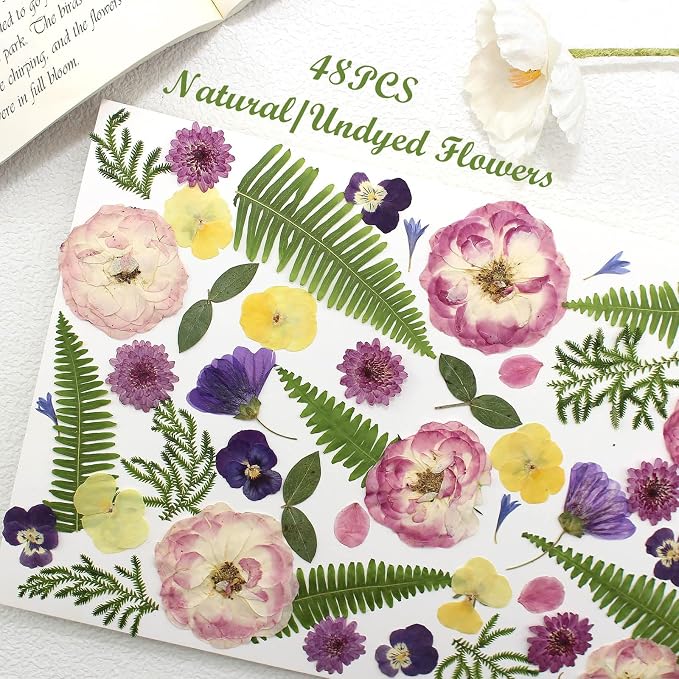 48 Pcs Mix Natural Dried Pressed Flowers - Image 5