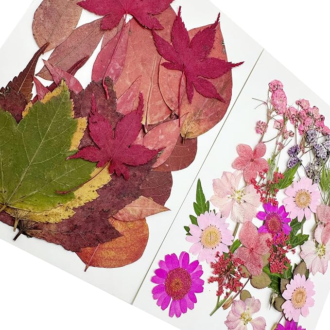 Woohome 91 PCS Natural Dried Pressed Flowers and Leaves - Image 3