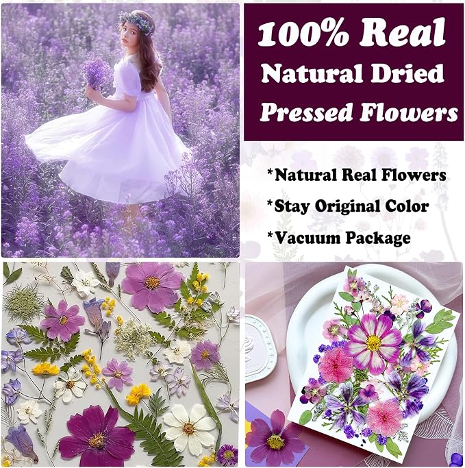 35Pcs Purple Pressed Dried Flowers - Image 2