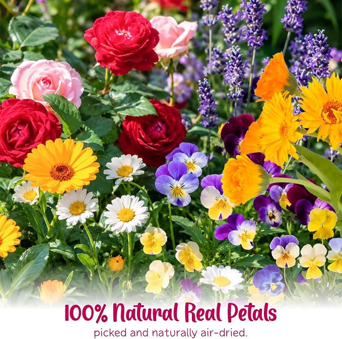 70 Pcs 11kinds Edible Dried Pressed Flowers - Image 5
