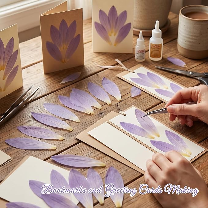 48 Pcs Mix Natural Dried Pressed Water Lily Petals - Image 5