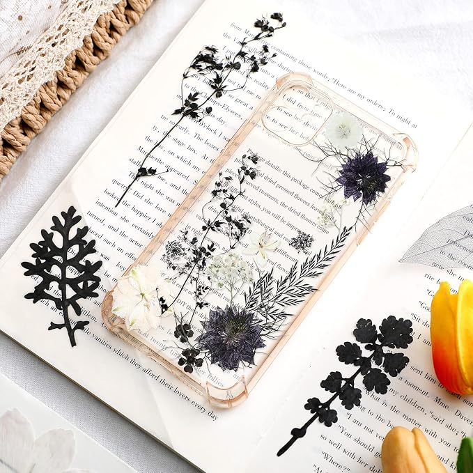 Nuanchu Black White Dried Pressed Flowers - Image 2