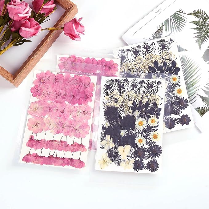 48 Pcs Mix Natural Dried Pressed Cherry Blossoms - Image 8