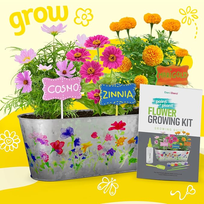 Dan&Darci Paint & Plant Flower Growing Kit - Image 5