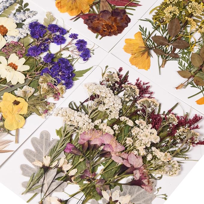 110 PCS Pressed Flowers with Twigs - Image 4