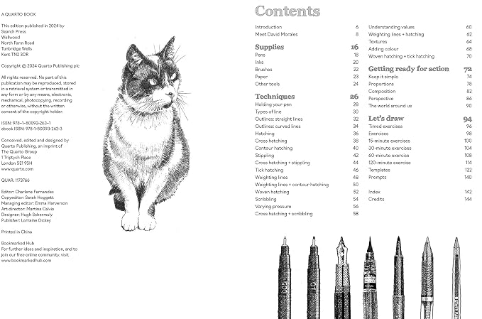 Pen and Ink Drawing Techniques: Steps, subjects & prompts - Image 2