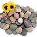 NUPICK 12lb Mexican Beach Pebbles, 2-3" Large River Rocks by CreateAmazingChoice