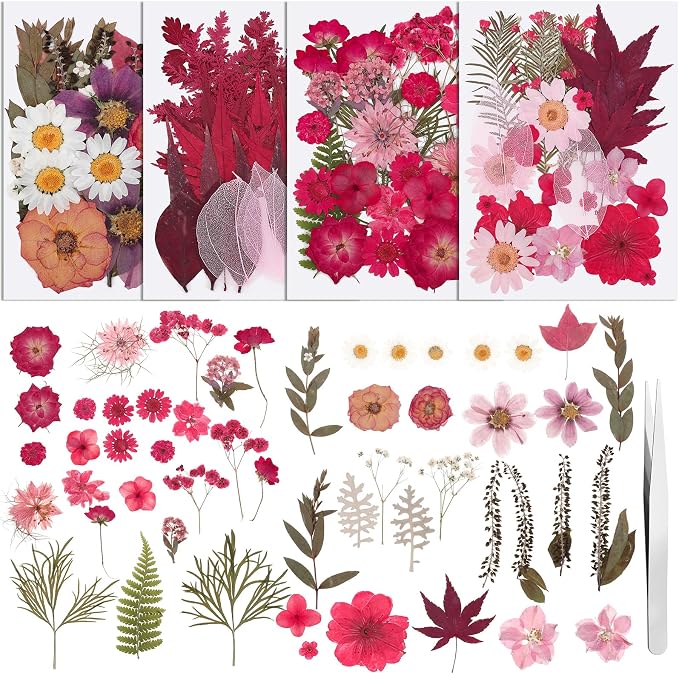 100 Pcs Dried Pressed Flowers, Real Natural Dried Wildflowers Leave by Ovveroche