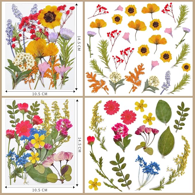 Dried Flowers | 72pcs Natural Pressed Flowers and Leaves - Image 2