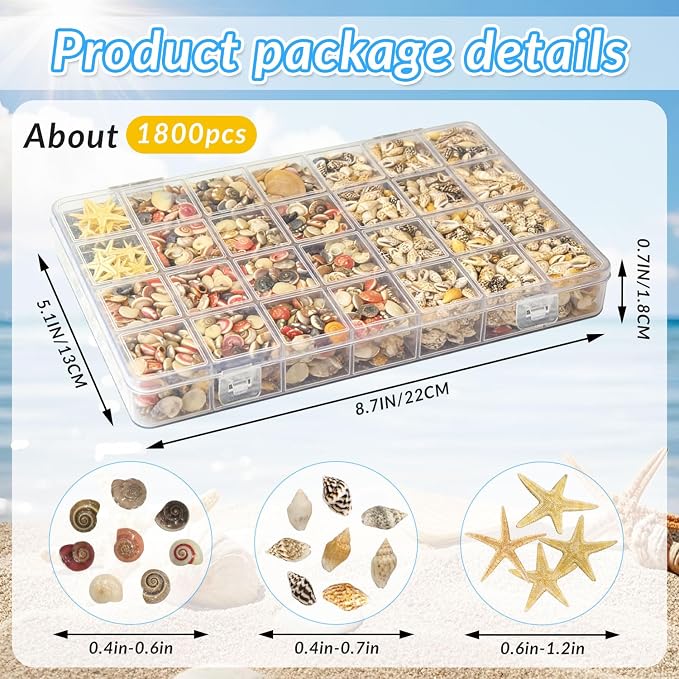25 Types Small Sea Shells for Crafts - Image 2