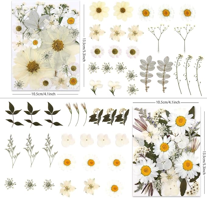 LUXEEASE 100P White Foliage Mix Dried Pressed Flowers | Blooms - Image 2