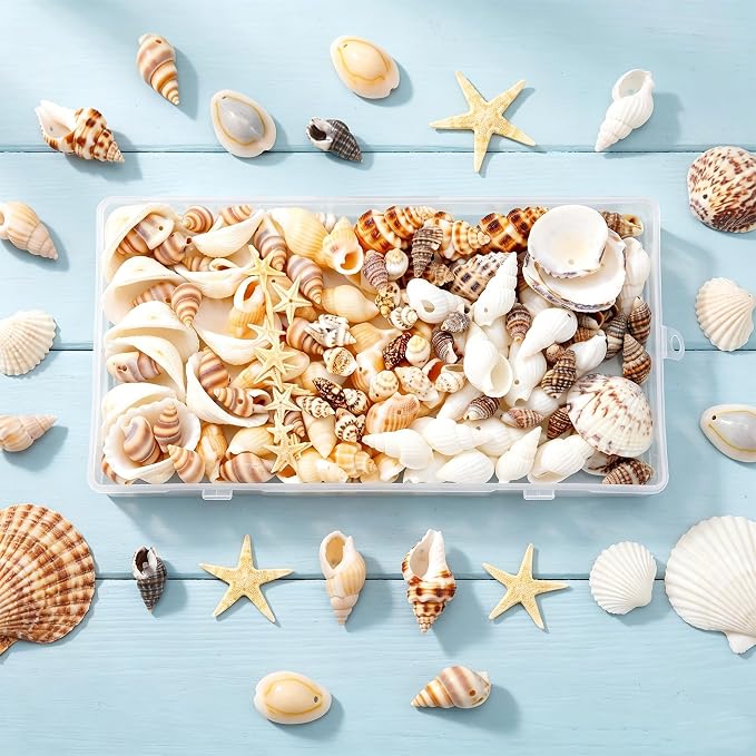 yaokan Natural Sea Shells & Starfish Set Drilled Beach Conchs | Jewelry DIY - Image 5