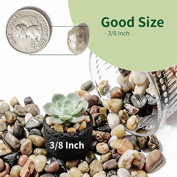 Small Rocks for Plants，3/8" Small Pebbles，1lbs Small River Rocks Decorative Pea - Image 2