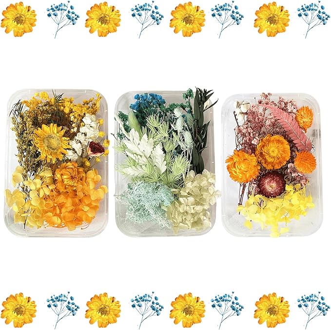 2PCS Dried Flowers Kit, Natural Dried Flowers Kit by Unknown