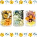 2PCS Dried Flowers Kit, Natural Dried Flowers Kit by Unknown