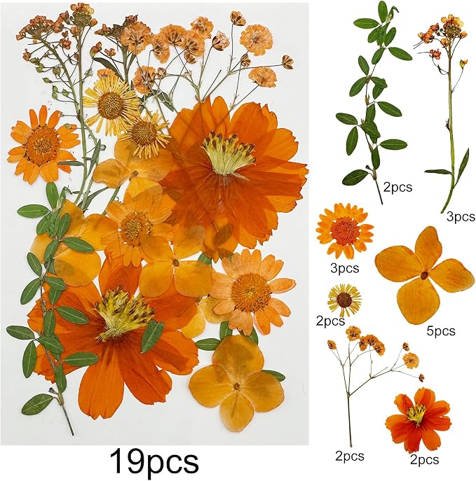 Woohome 4 Pack Dried Flowers for Resin Molds - Image 5